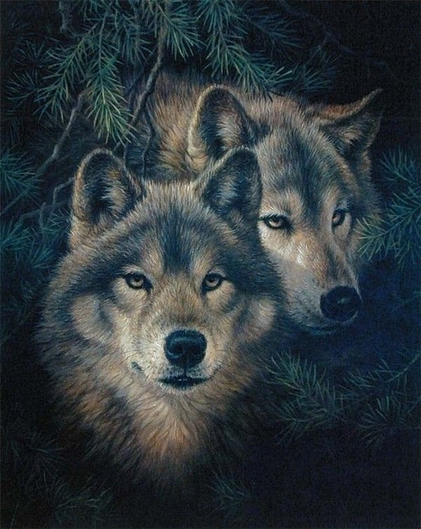 Diamantové malování Vlci v borovicích 30 × 40 cm