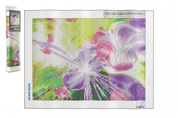 Norimpex Diamantové malování Magická houslistka 30 x 40 cm