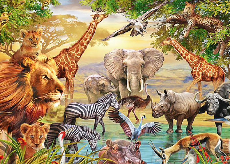Norimpex Diamantové malování Safari u řeky 30 x 40 cm
