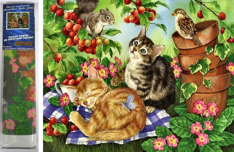 Norimpex Diamantové malování Zvířecí piknik 30 x 40 cm