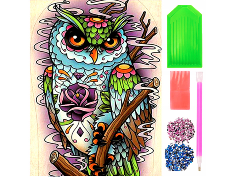 Norimpex Diamantové malování Moudrá sova 30x40cm
