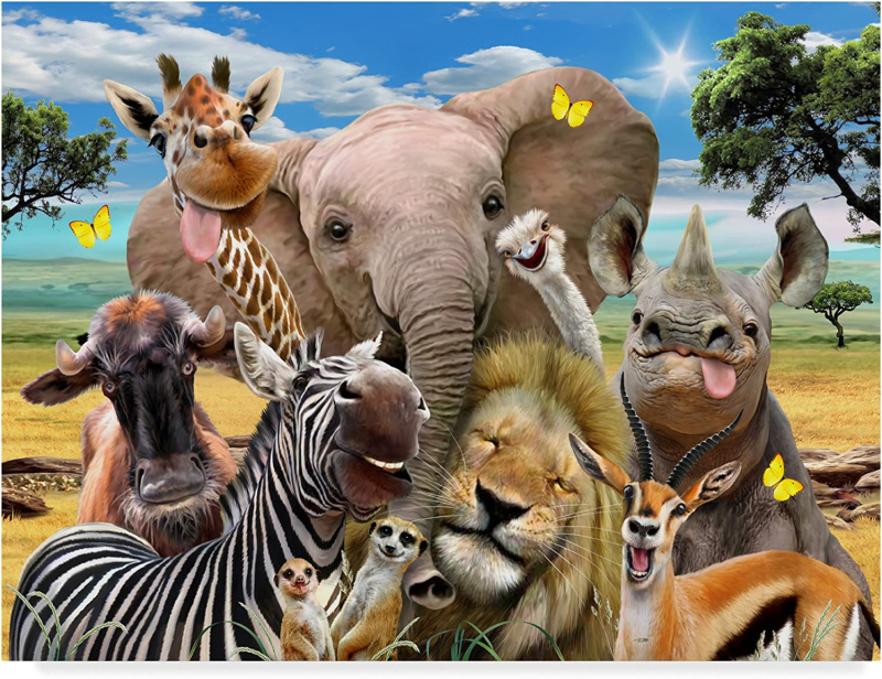 Norimpex Diamantové malování Safari selfie 30x40cm