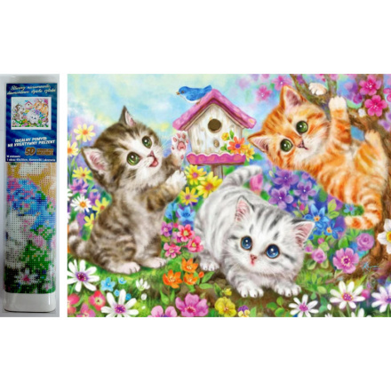 Norimpex Diamantové malování Kočičí parta 30 x 40 cm