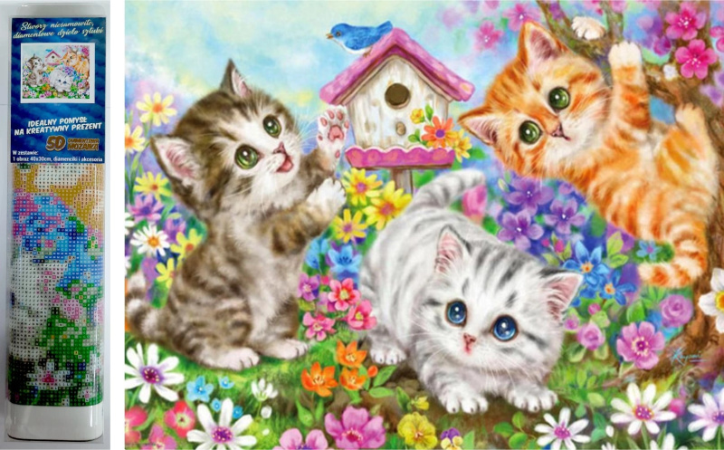 Norimpex Diamantové malování Kočičí parta 30 x 40 cm