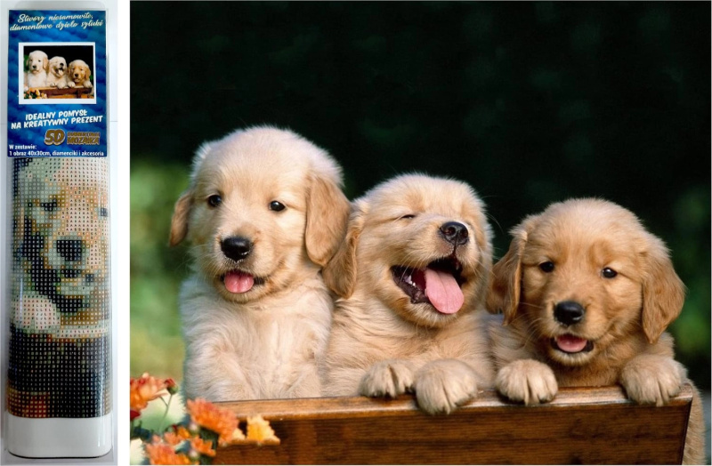 Norimpex Diamantové malování Roztomilé trio 30 x 40 cm