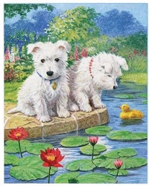 Norimpex malování podle čísel Maltézští psi u jezera 40 × 50 cm