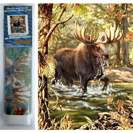 Norimpex Diamantové malování Los v řece 30 x 40 cm
