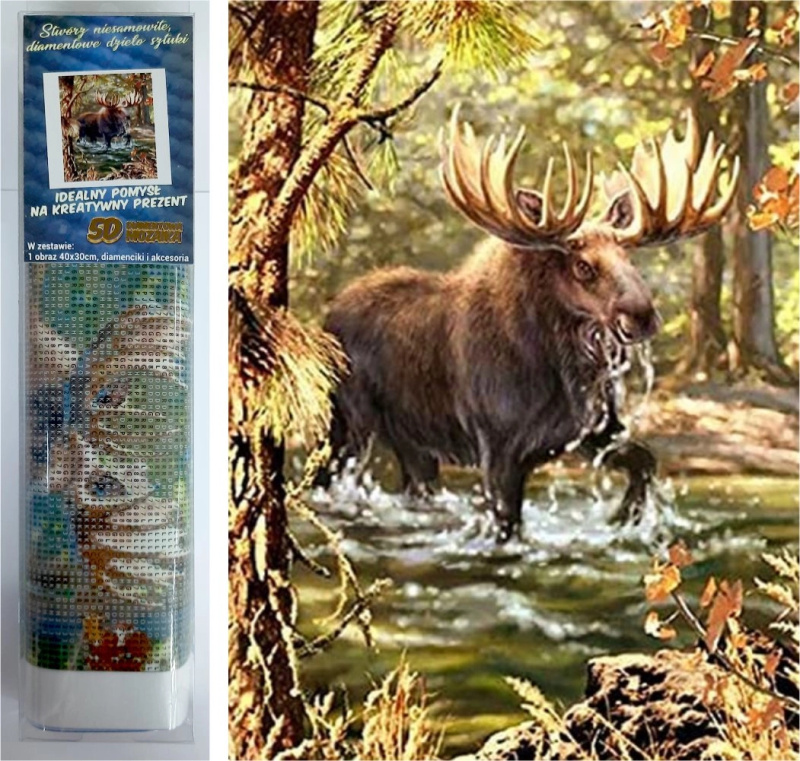 Norimpex Diamantové malování Los v řece 30 x 40 cm