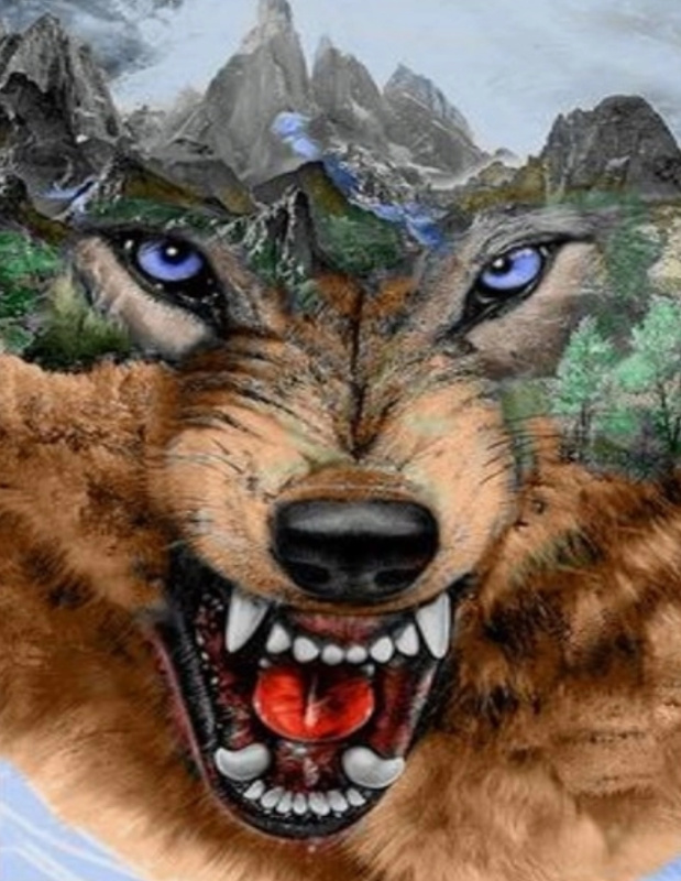 Norimpex diamantové malování vlk a hory 80 × 40 cm