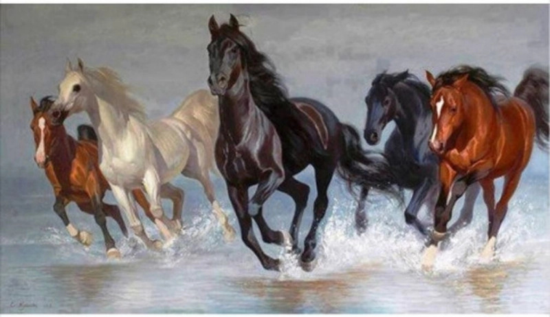 NORIMPEX Diamantové malování Stádo koní 80 x 40 cm