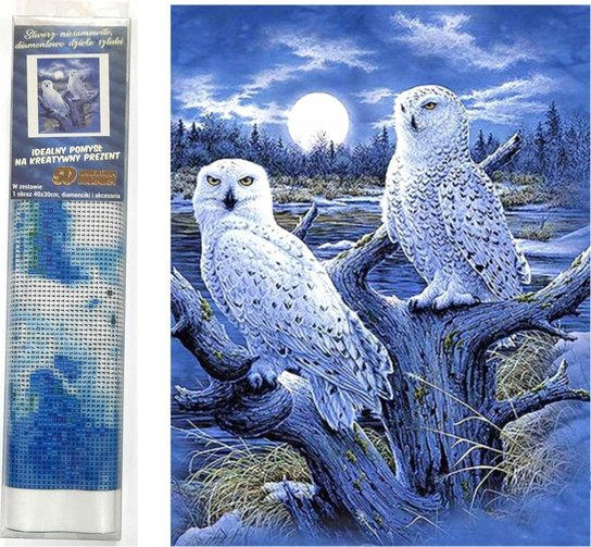 Norimpex Diamantové malování Sovice sněžní 30 x 40 cm