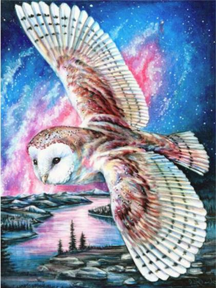 Norimpex Diamantové malování Soví let 30 x 40 cm