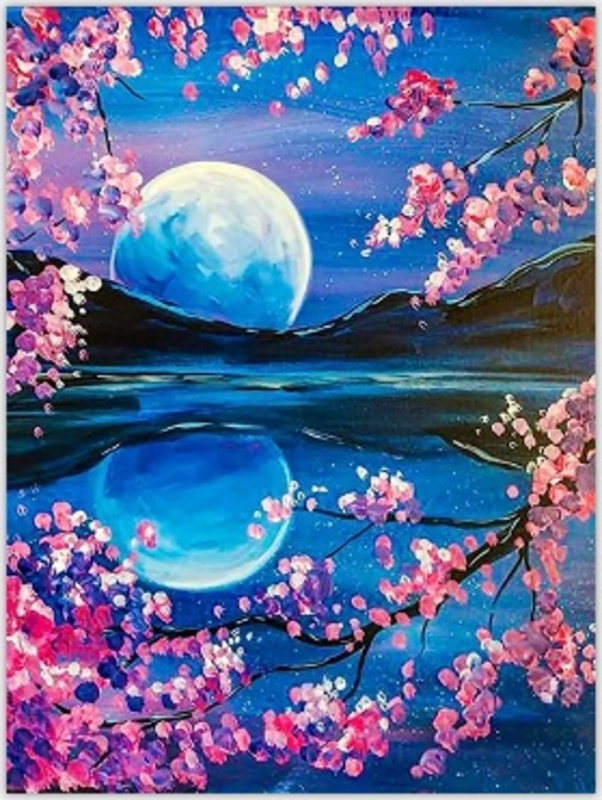 Norimpex Malování podle čísel Východ měsíce 40 x 50 cm