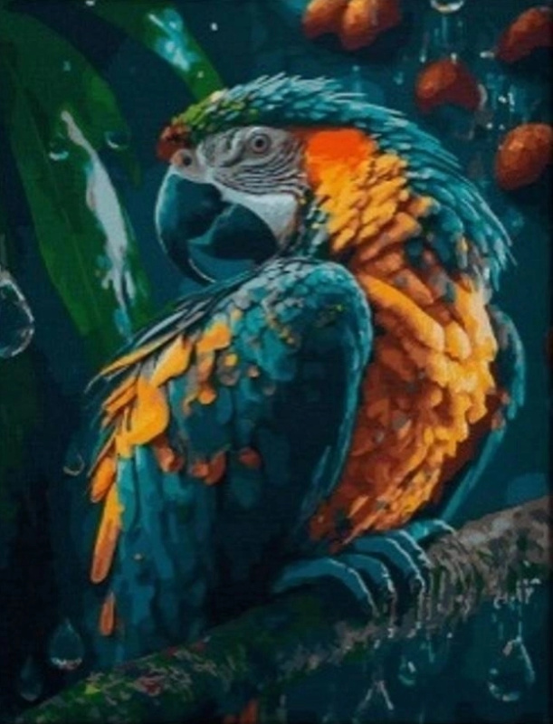 Malování Diamanty Papoušek 30x40 cm