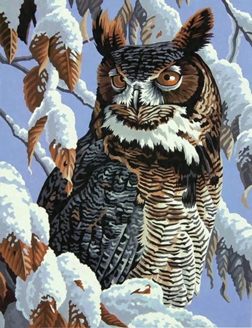 Norimpex Malování podle čísel Sova na zasněžené větvi 40 × 50 cm