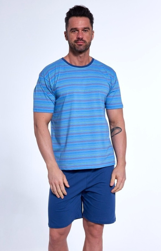 Pyžamo Cornette Various 338/47 kr/r S-2XL pánské modrozelená L