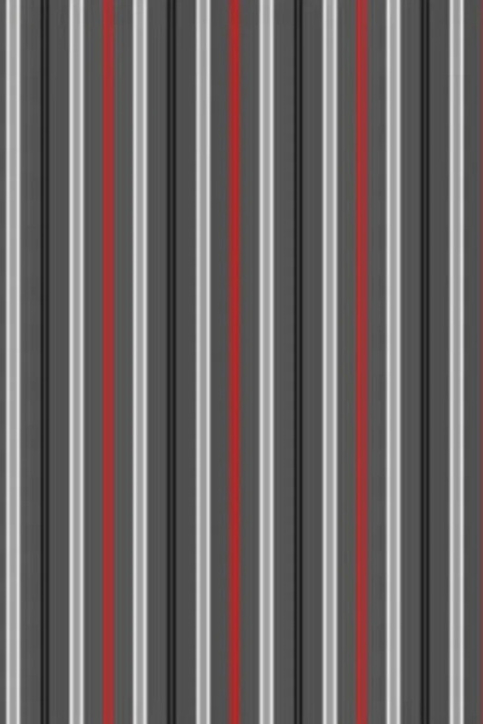 Pánské boxerky VARIOUS MINI 228 Jaro 2024 GRAFIT M