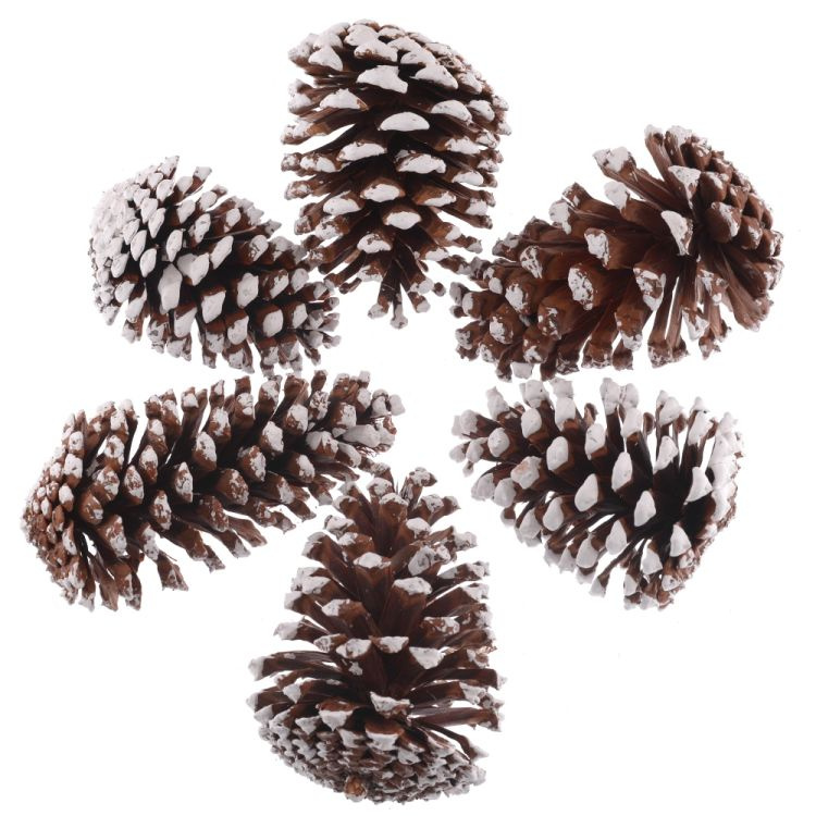 Šišky borovice 6ks bílé