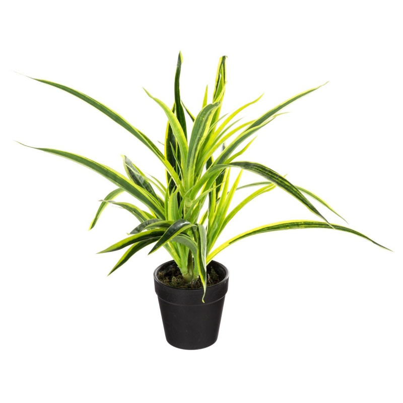 Atmosphera Umělá rostlina v květináči TRÁVA, 30cm zelená