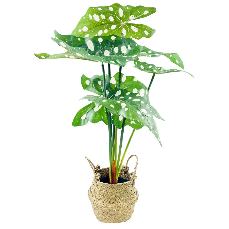 Home Styling Collection Umělá květiná v košíku ALOCASIE, 51 cm, zelená zelený