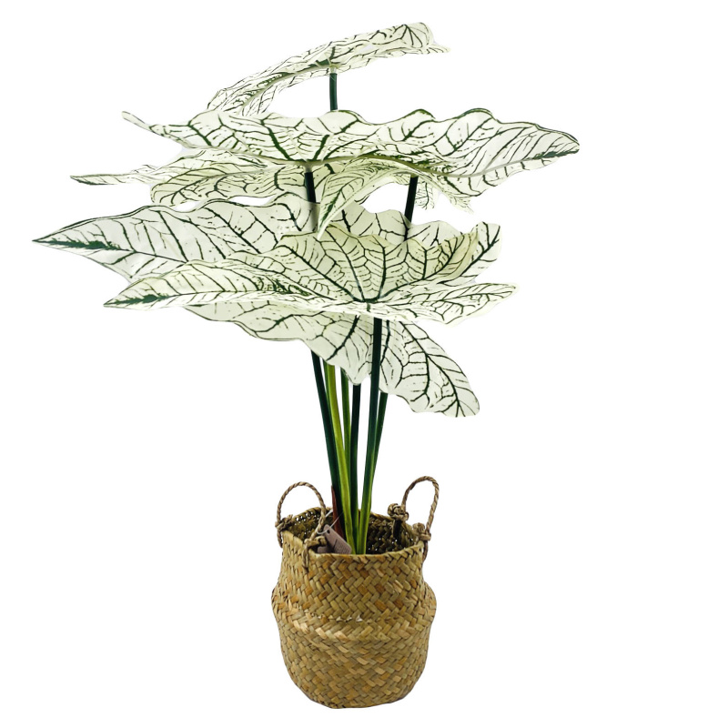 Home Styling Collection Umělá květiná v košíku ALOCASIE, 51 x 30 cm zelený
