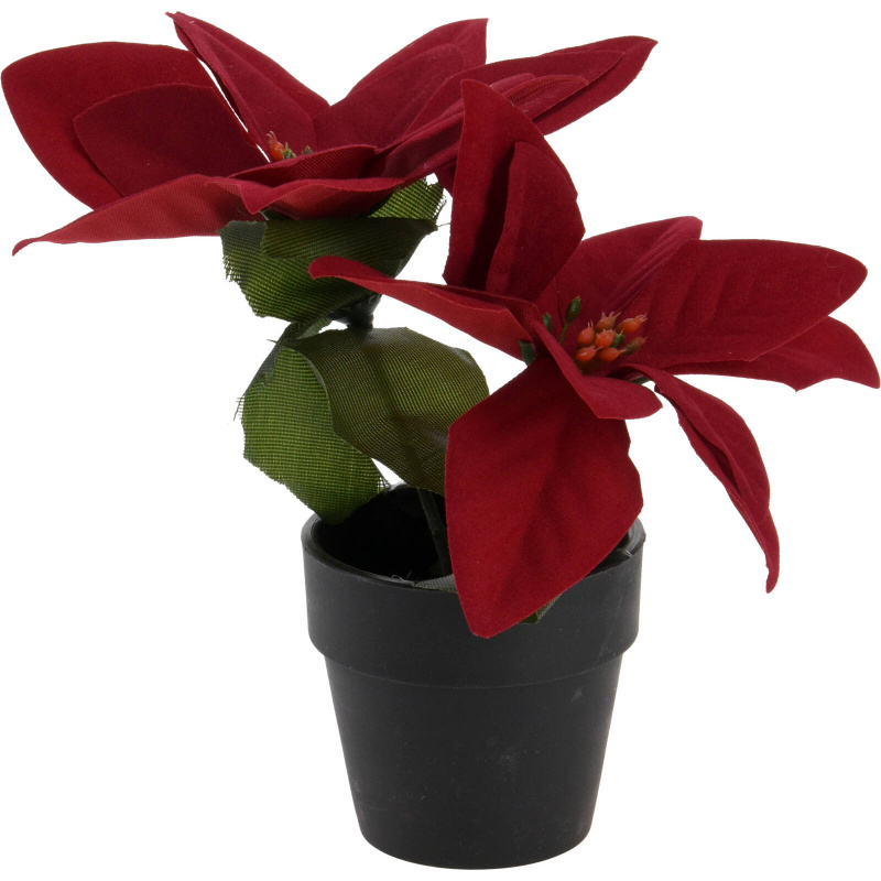 Home Styling Collection Umělá betlémská hvězda v květináči, výš, 18 cm, vínová barva burgundská