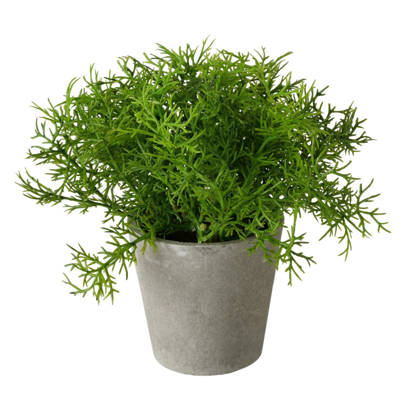 Boltze Home Umělá rostlina v cementovém květináči, 17 cm, FERN zelený