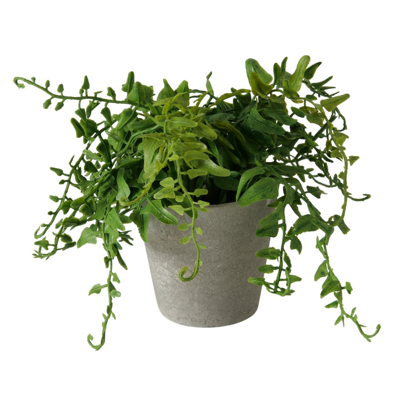 Boltze Home Umělá rostlina v cementovém květináči, výška 17 cm, FERN zelený