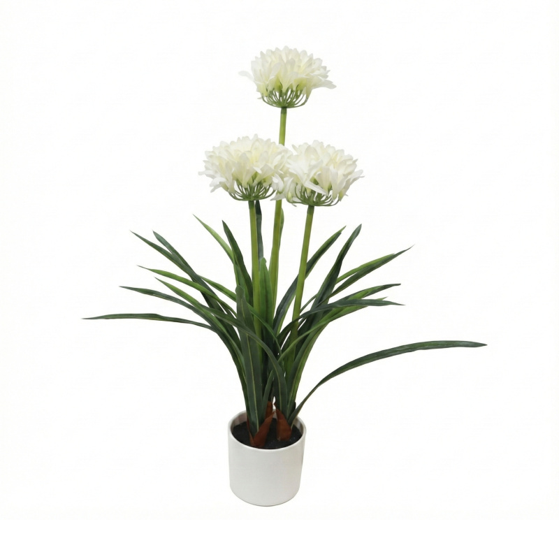 Botanical Decoration Umělá květina bílá v květináči Agapanthus, 50 x 80 cm zelený 104594