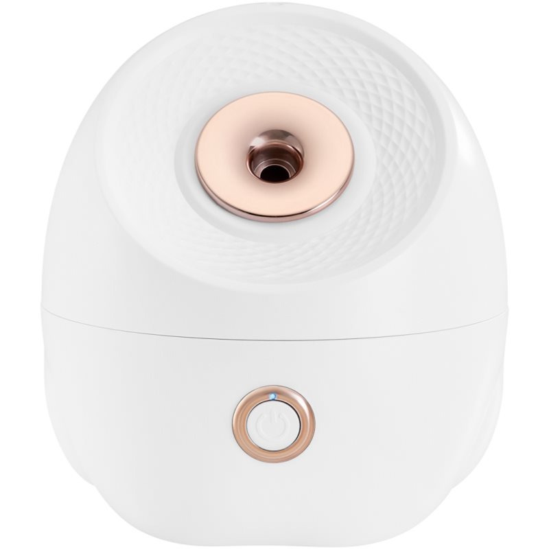Beautifly SkinMist Pro sauna na obličej 1 ks