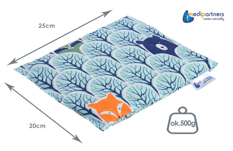 Medi Partners Cherry kernel thermophore - Raccoon in the forest