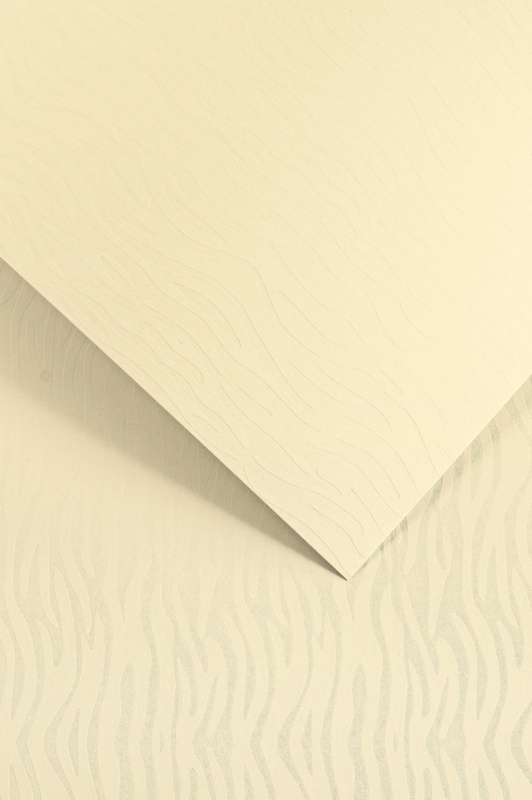 Galeria Papieru Ozdobný papír A4 Pacific, 200 g/m2, krémový, 20 ks