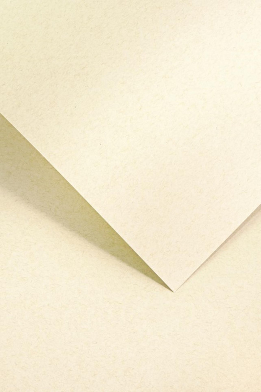 Galeria Papieru Ozdobný papír A4 Nature - 220 g/m2, světle béžový, 20 listů