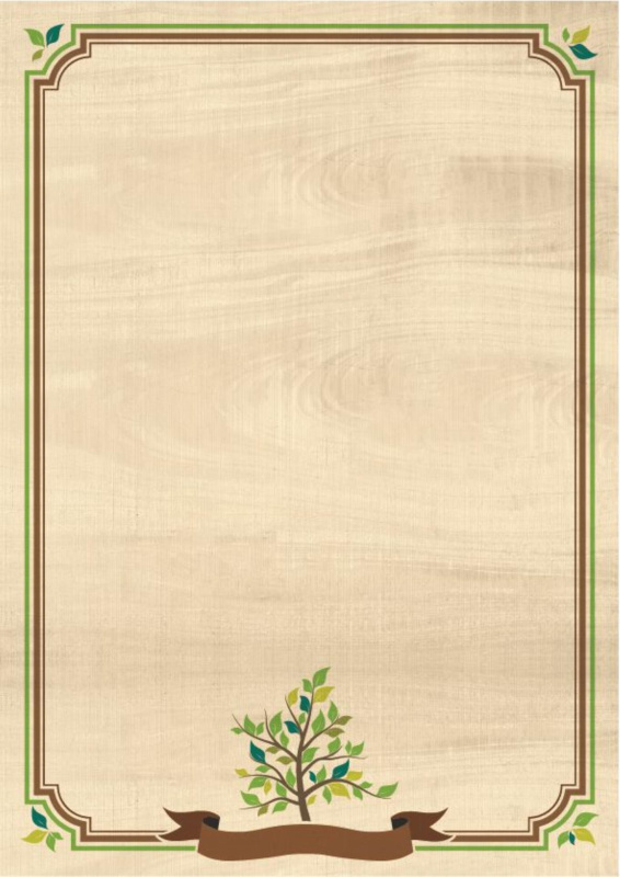 Galeria Papieru diplomy Natura 170g, 25ks