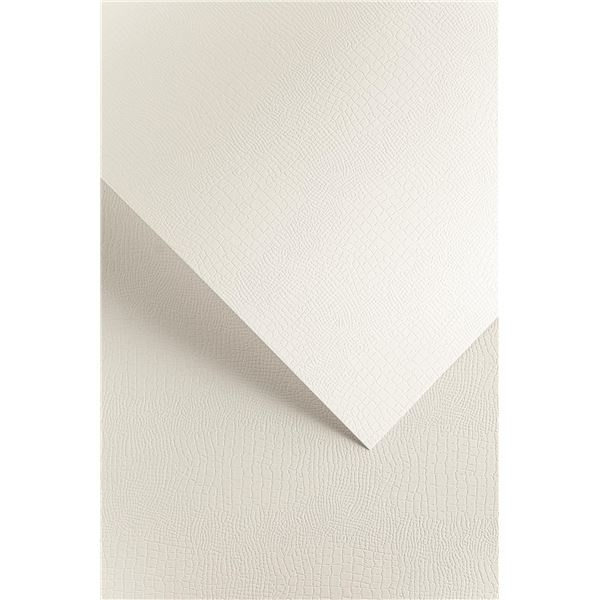 Galeria Papieru Ozdobný papír A4 Borneo - 220 g/m2, bílý, 20 listů