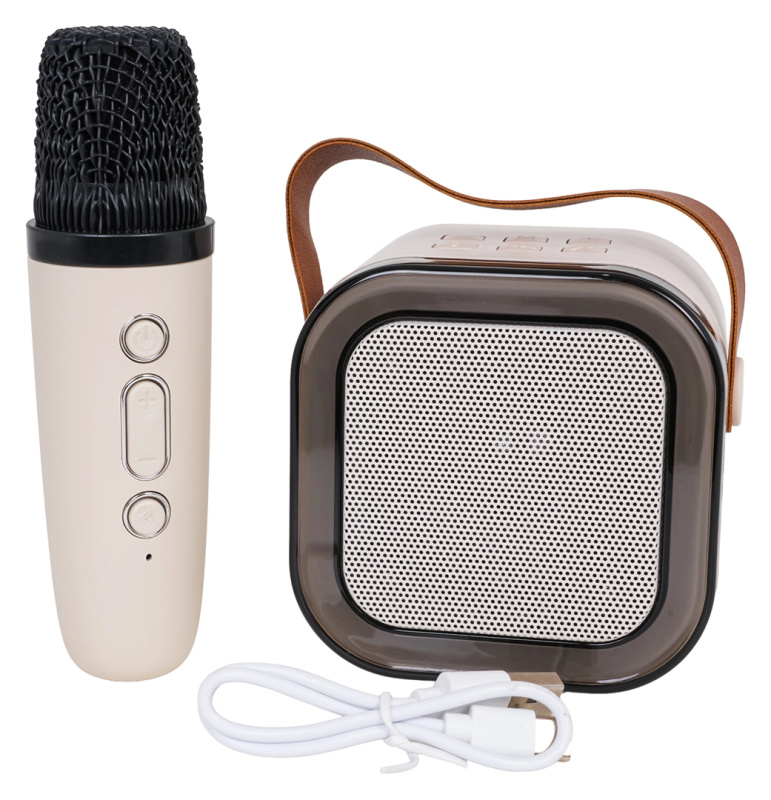 Karaoke set s bezdrátovým mikrofonem a přenosným Bluetooth reproduktorem s RGB