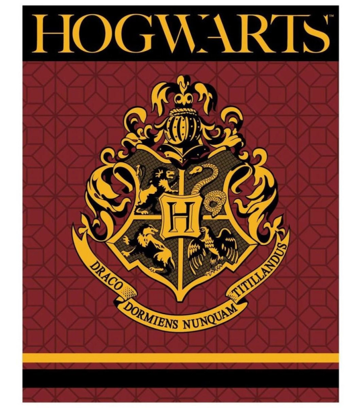 Flísová deka Harry Potter XL