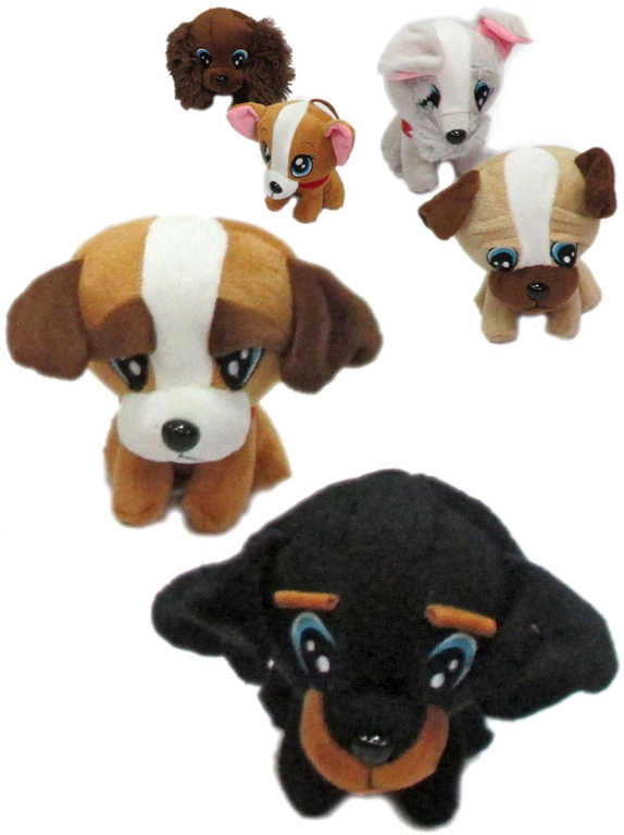 Plyšový pejsek zlatíčko s velkýma očima 20 cm (6 variant) - 1 kus