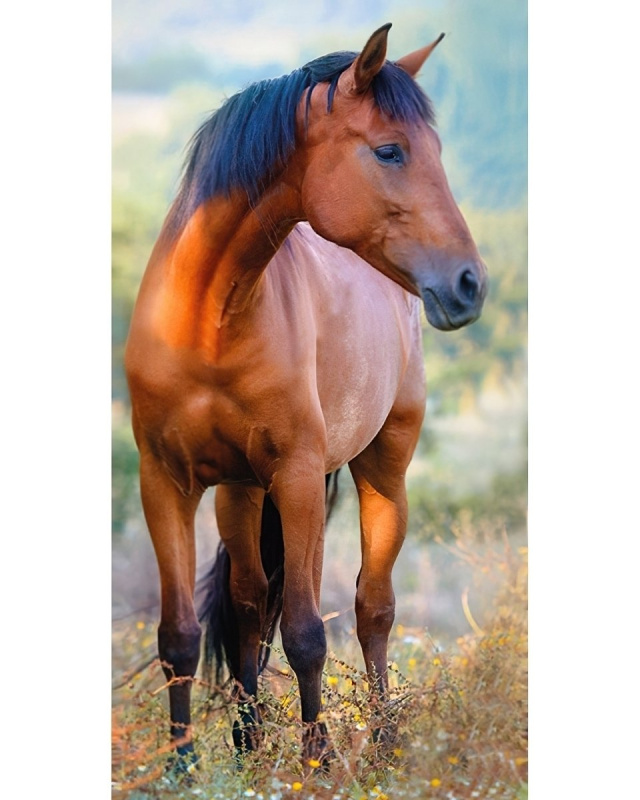 Carbotex Froté ručník Kůň Hnědák na Louce 30x50 cm