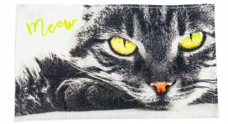 Carbotex Froté ručník Kocourek Oskar 30x50 cm