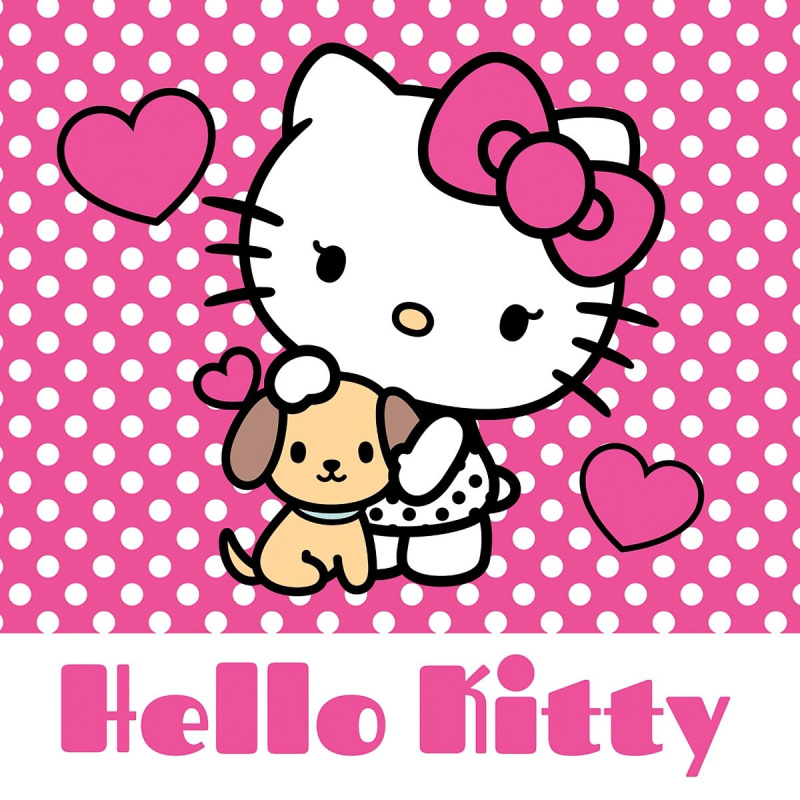 Carbotex Magický ručníček Hello Kitty 30x30 cm Varianta: Zvolte balení po: 1 ks