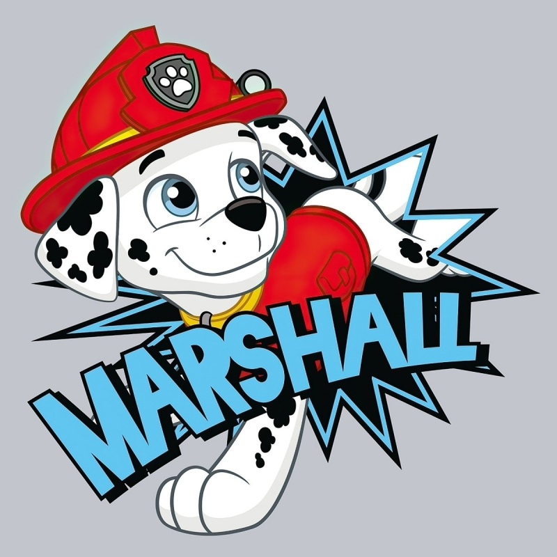 Carbotex Magický ručníček Tlapková Patrola Marshall 30x30 cm Varianta: Zvolte balení po: 1 ks