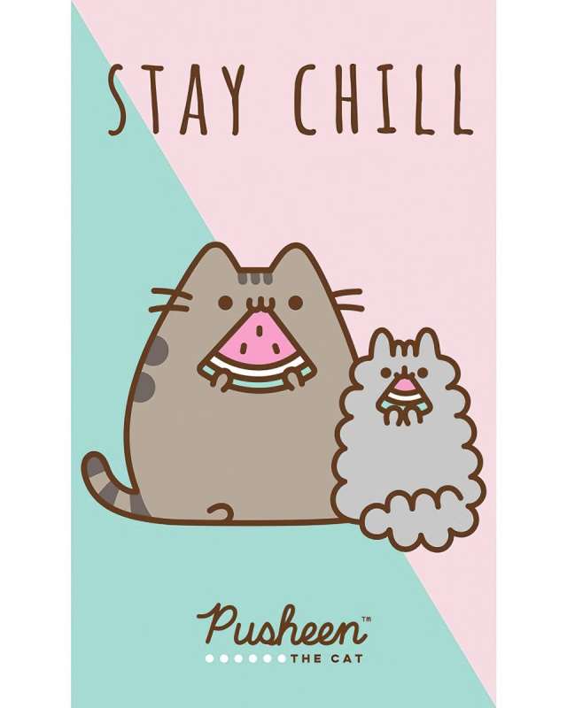 Carbotex Dětský ručník Kočička Pusheen Stay Chill 30x50 cm