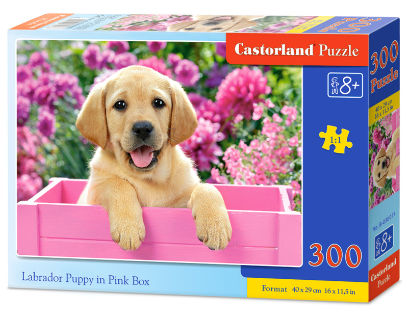 Puzzle 300 dílků Labrador štěně v růžové krabici