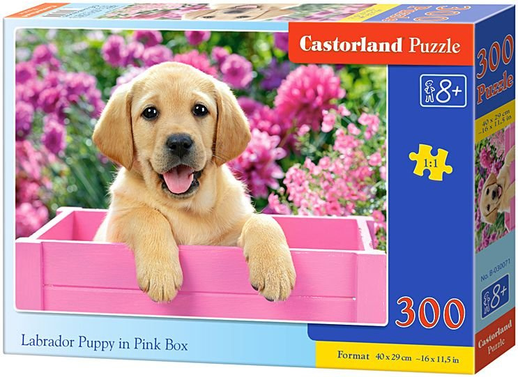 Puzzle 300 dílků Labrador štěně v růžové krabici