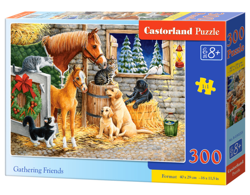 Castorland Setkání přátel ve stáji 300 dílků