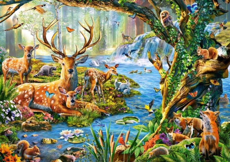 Castorland Život v lese 52929 500 dílků