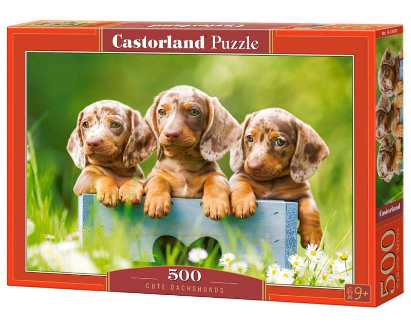 Puzzle 500 dílků - Roztomilí jezevčíci