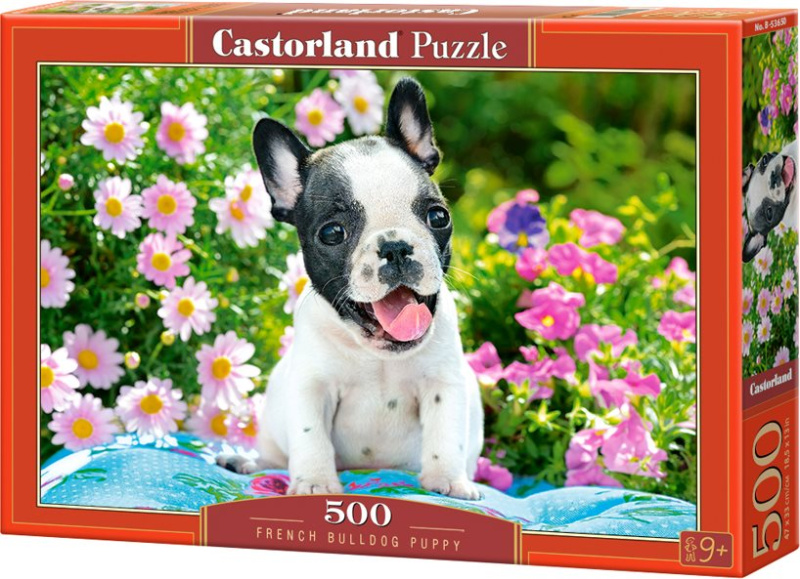 Castorland Štěně francouzského buldočka 500 dílků