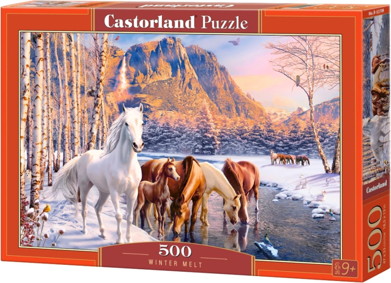 Castorland Zimní tání 500 dílků